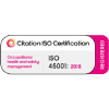 OCCUPATIONAL HEALTH AND SAFETY MANAGEMENT - ISO 45001:2018 ICON